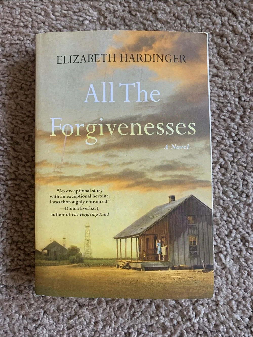 'All The Forgivenesses' Hardcover Book - Cream/Tan Cover